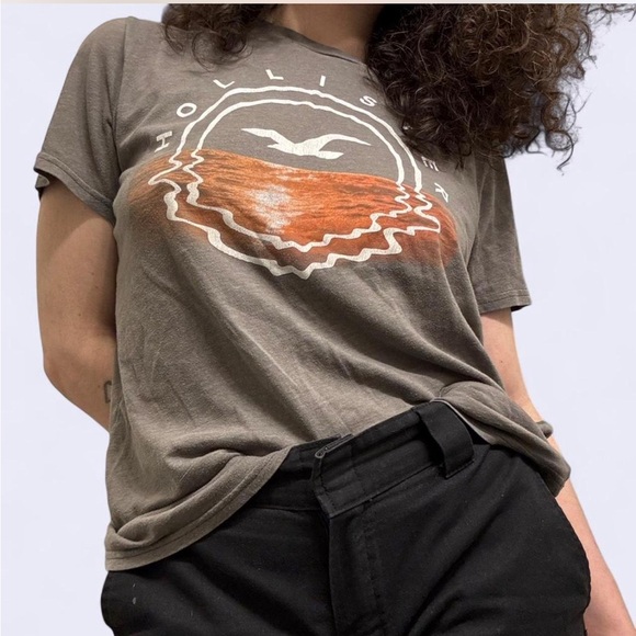 Hollister Other - Hollister Gray Sunset Seagull Graphic T-Shirt